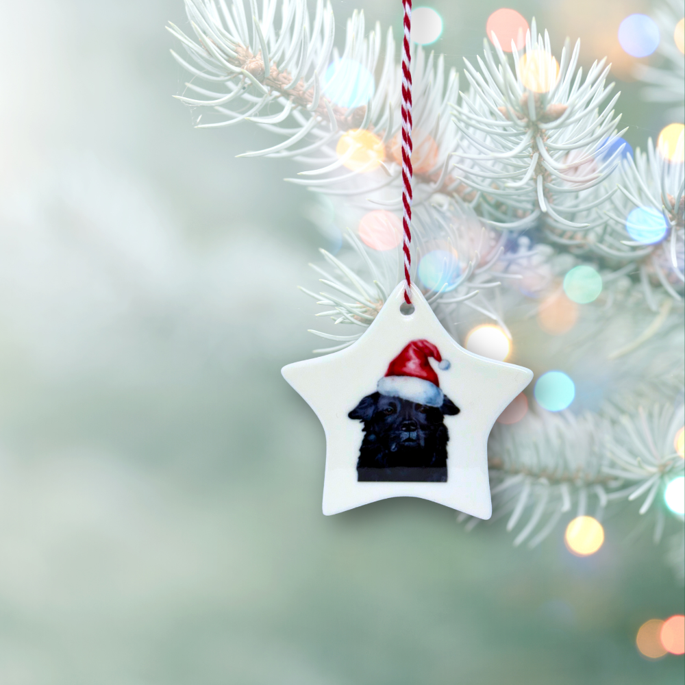 Personalised Star Ceramic Christmas Ornament