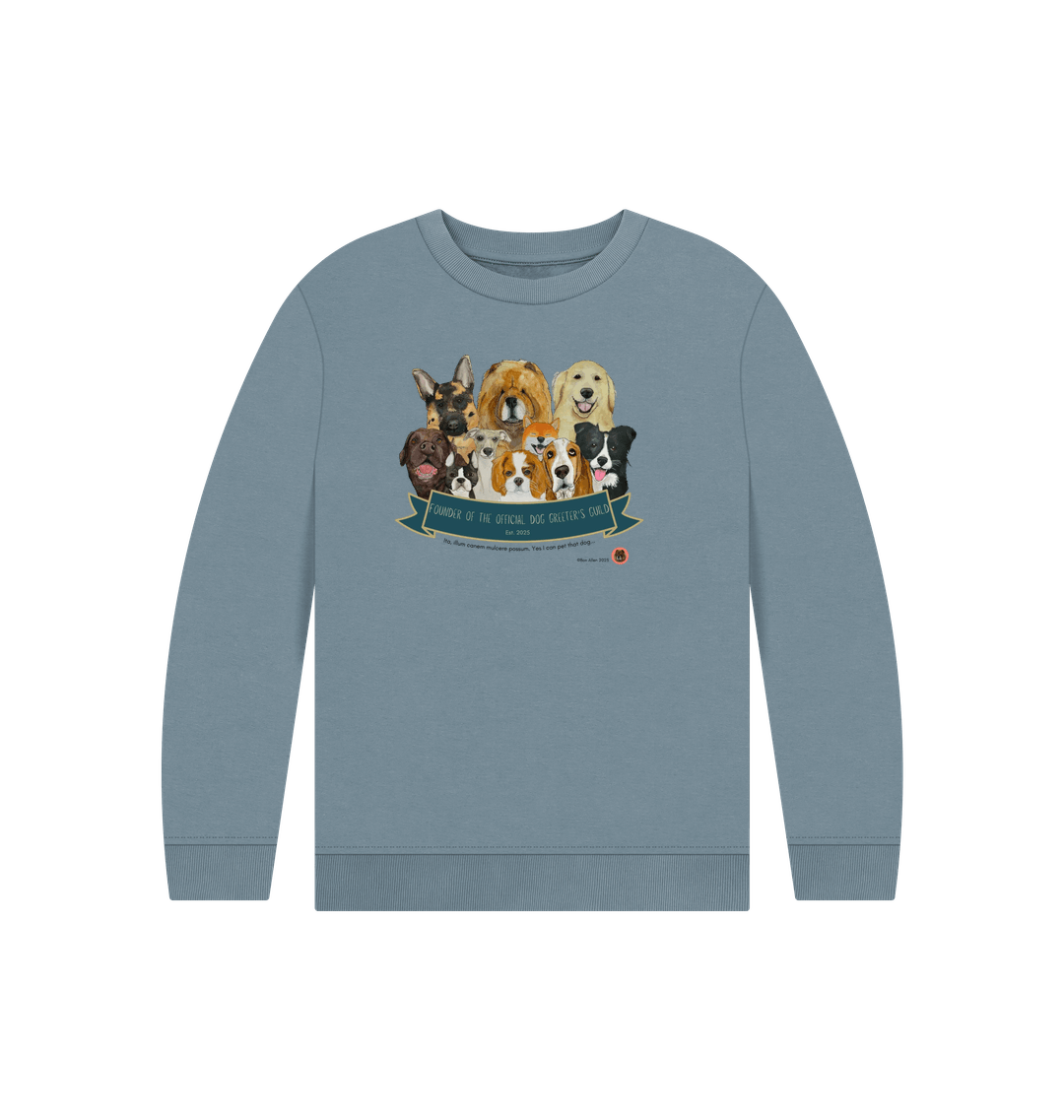Stone Blue Printed Kids Jumper Front
