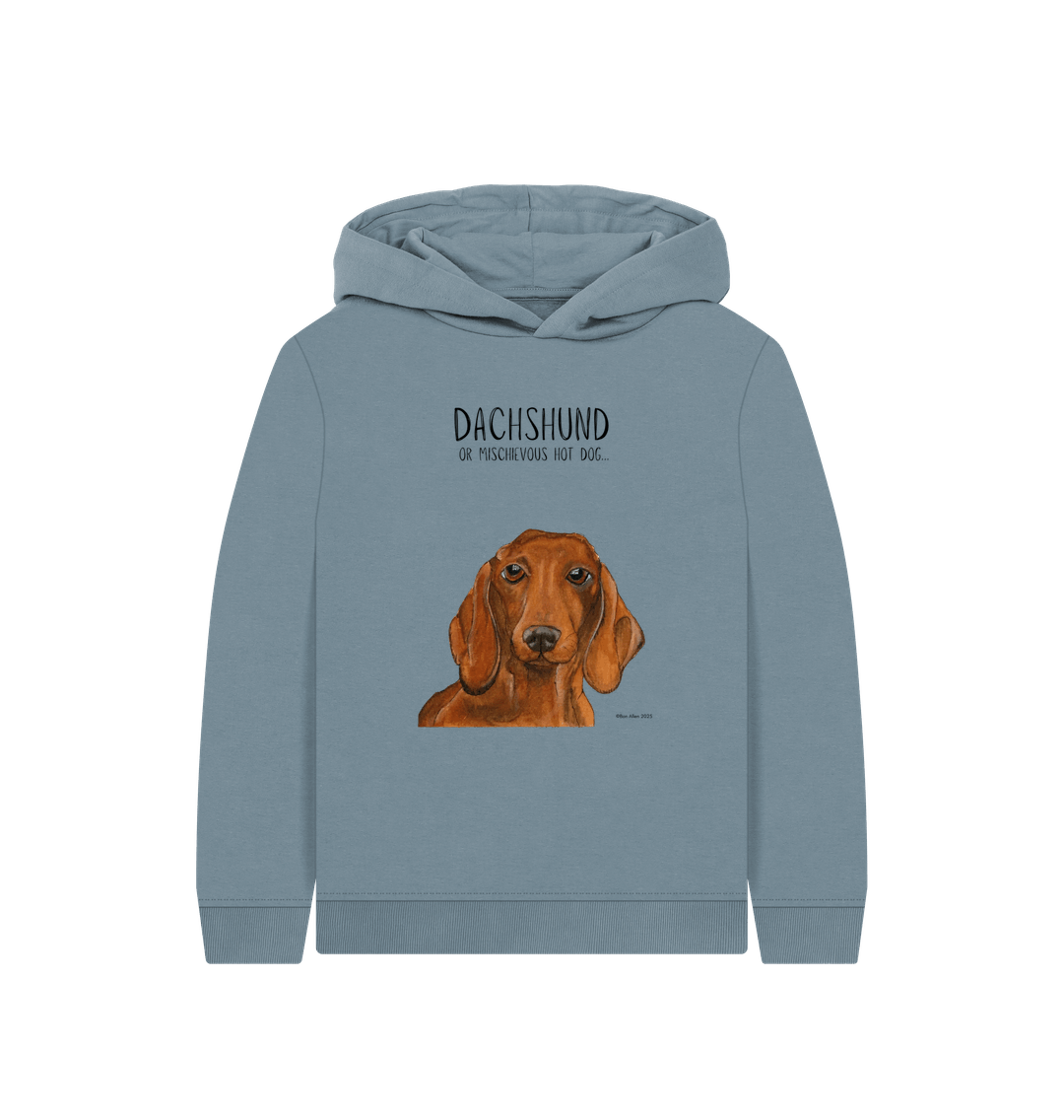 Stone Blue Printed Kids Hoodie