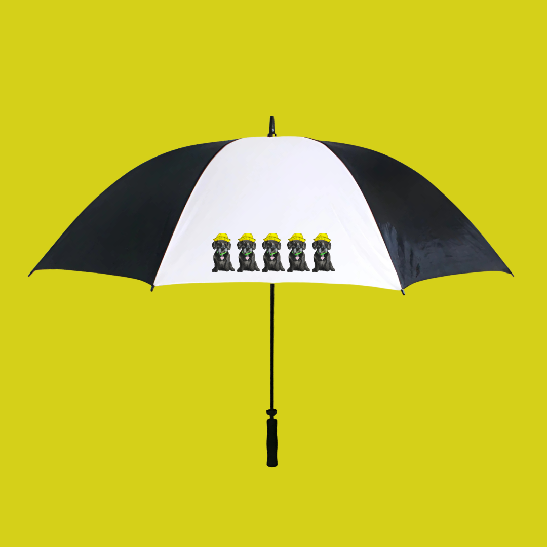Rain or Shine, Your Pet’s Got You Covered!