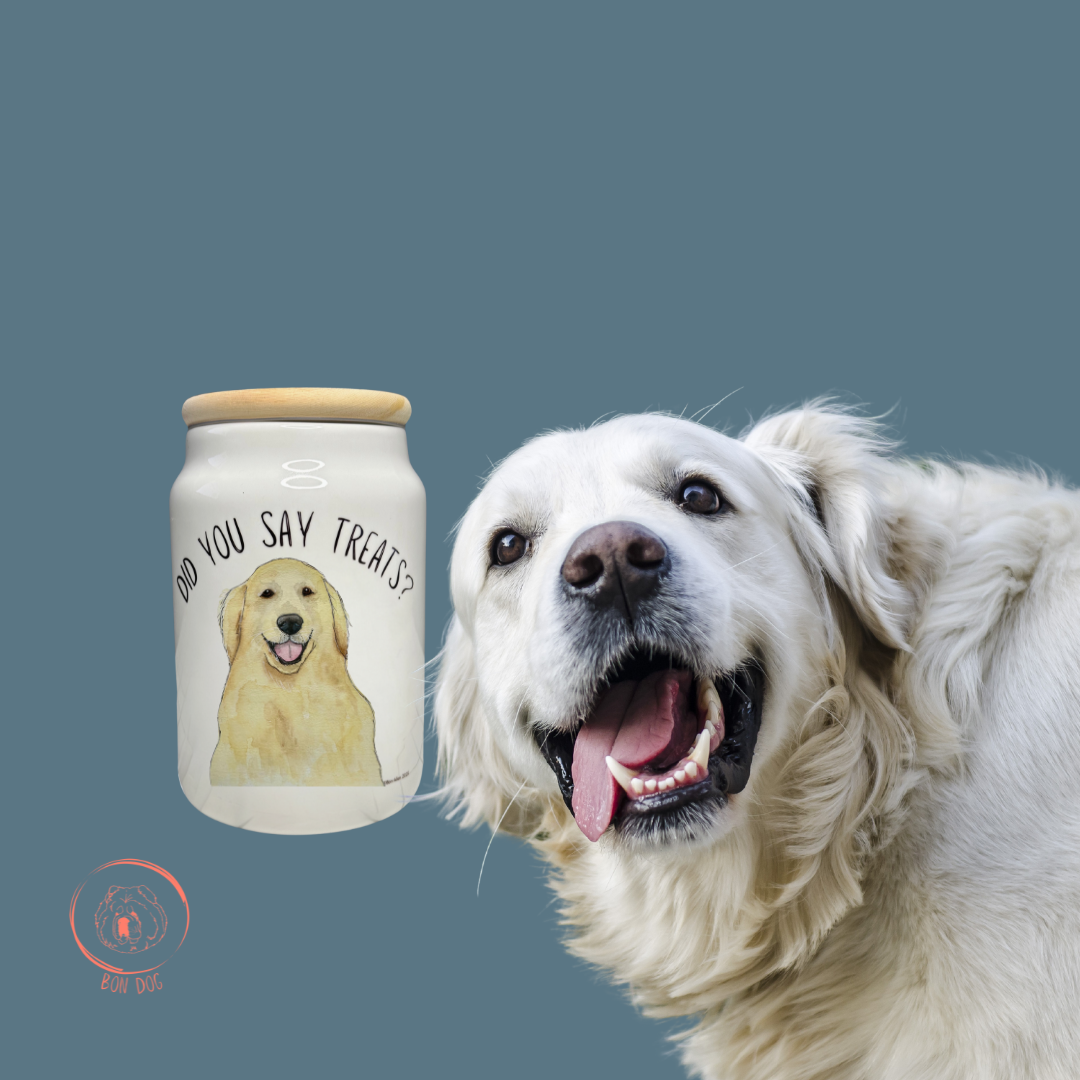 Golden Retriever’s Secret Snack Stash