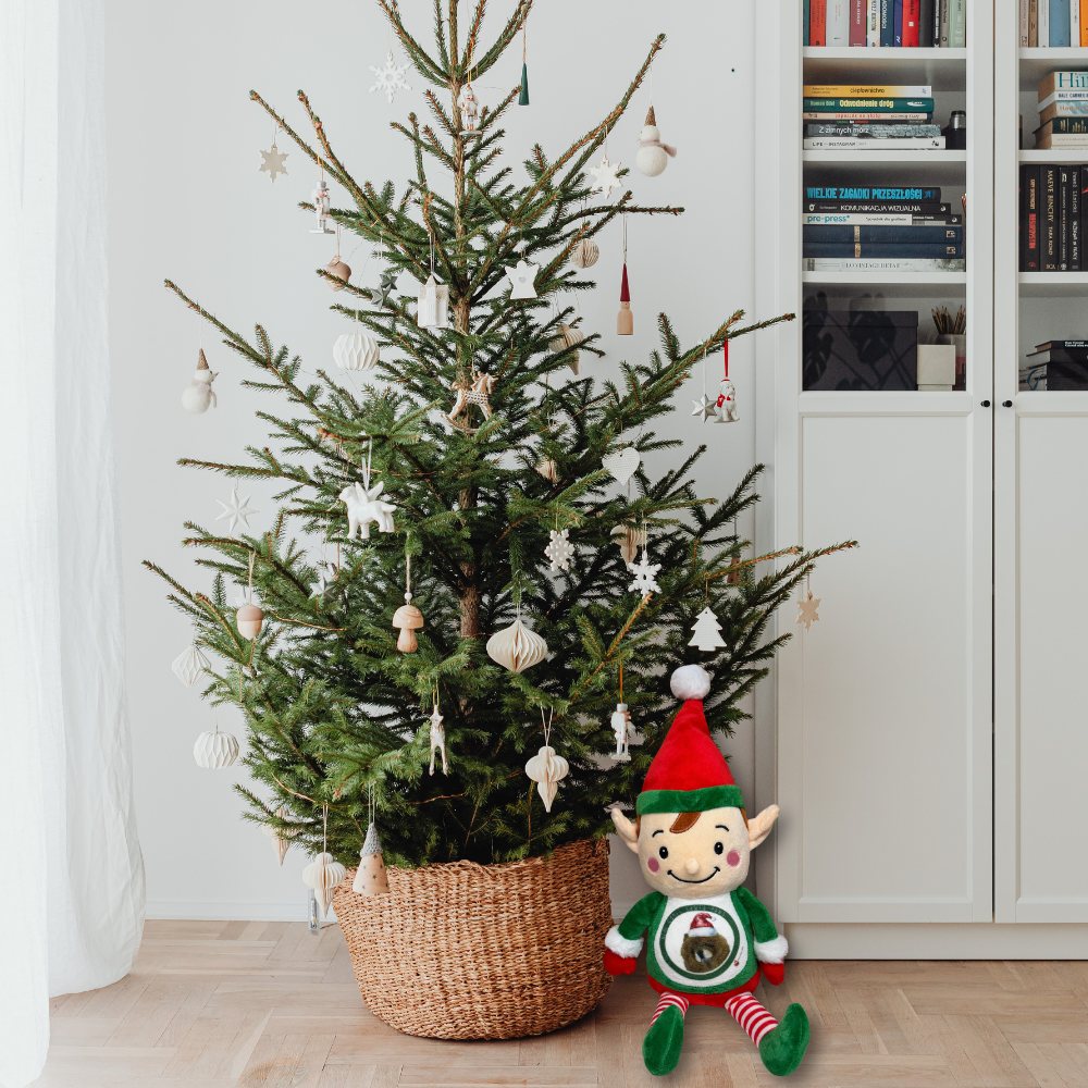 Personalised Christmas Elf