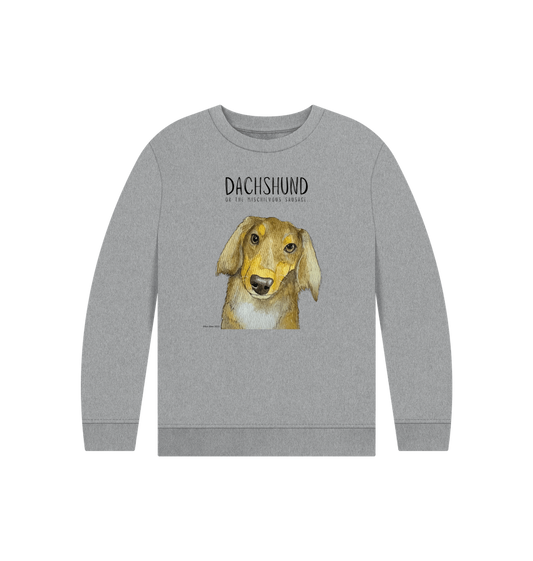 Athletic Grey Printed Kids Jumper