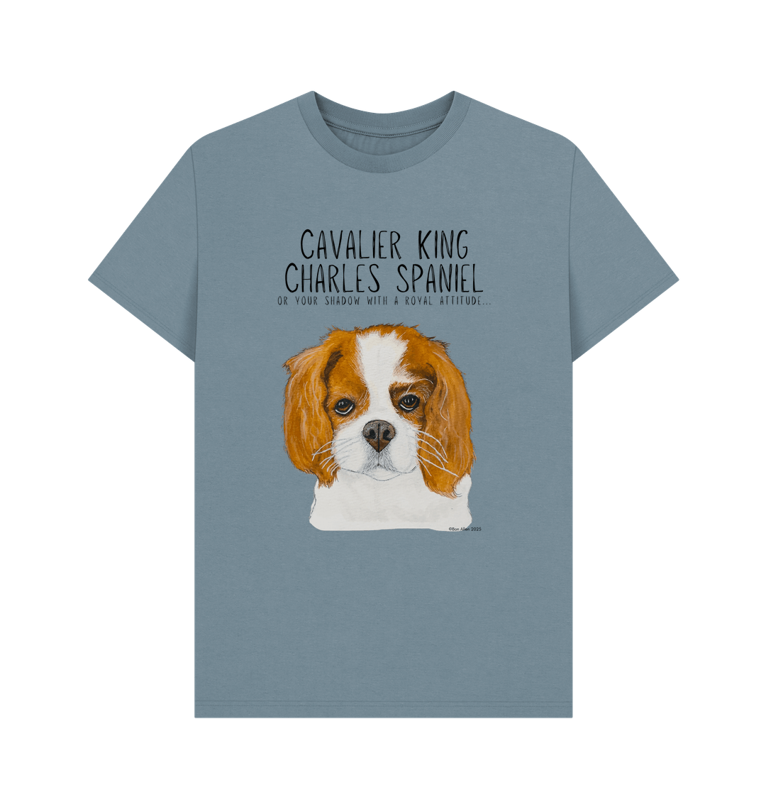 Stone Blue Printed T-shirt