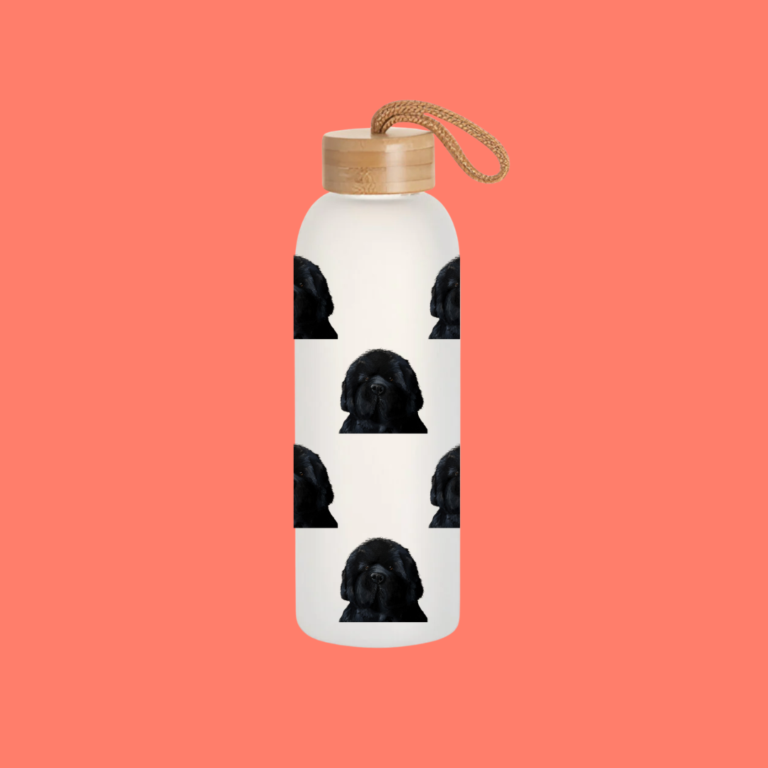 Couch-Sized Rescue Bear Frosted Glass Water Bottle