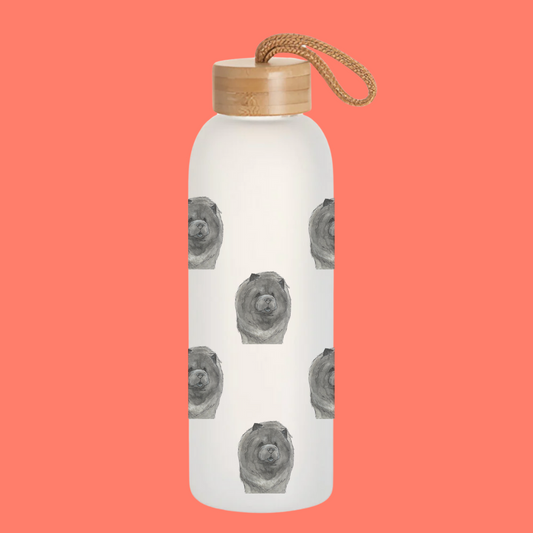SALE Frosted Glass Water Bottle