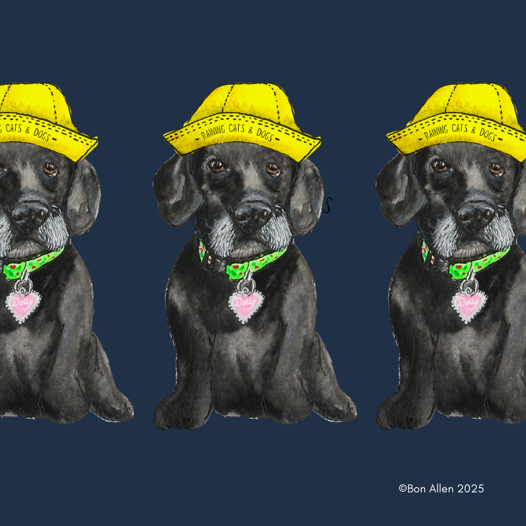 Rain or Shine, Your Pet’s Got You Covered!