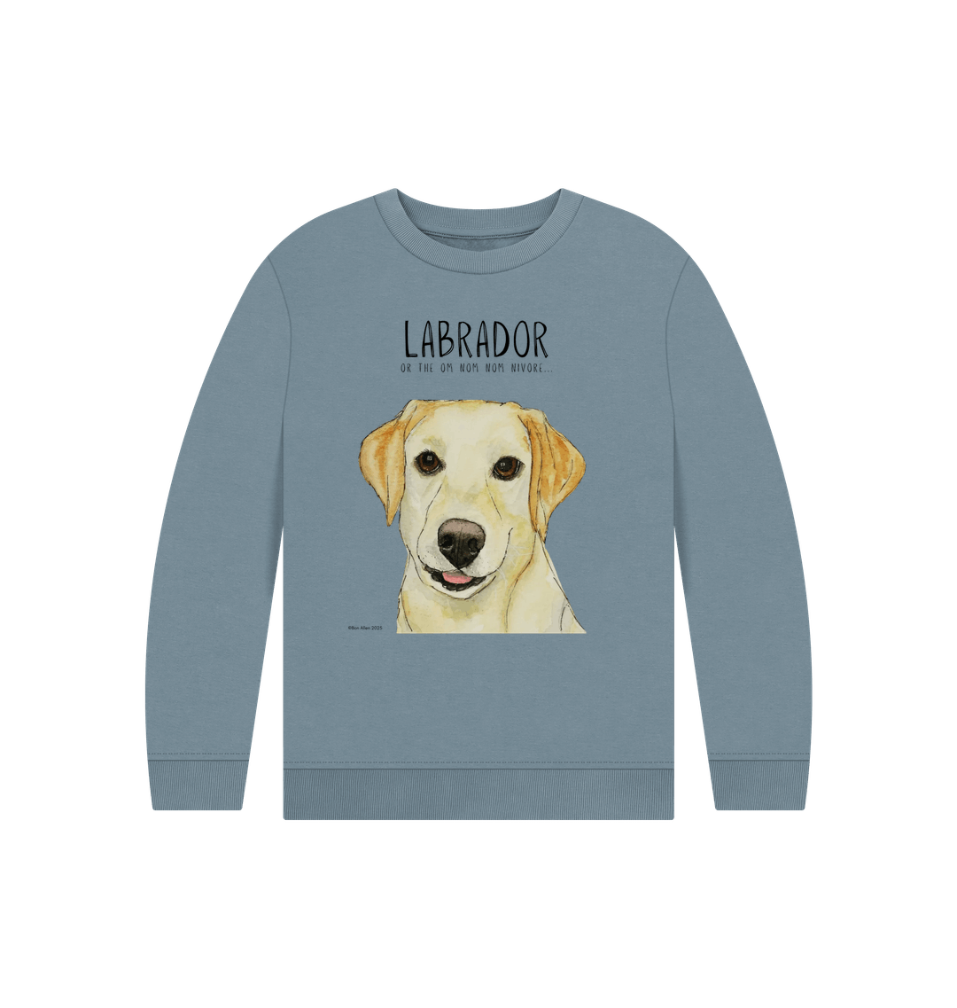 Stone Blue Printed Kids Jumper