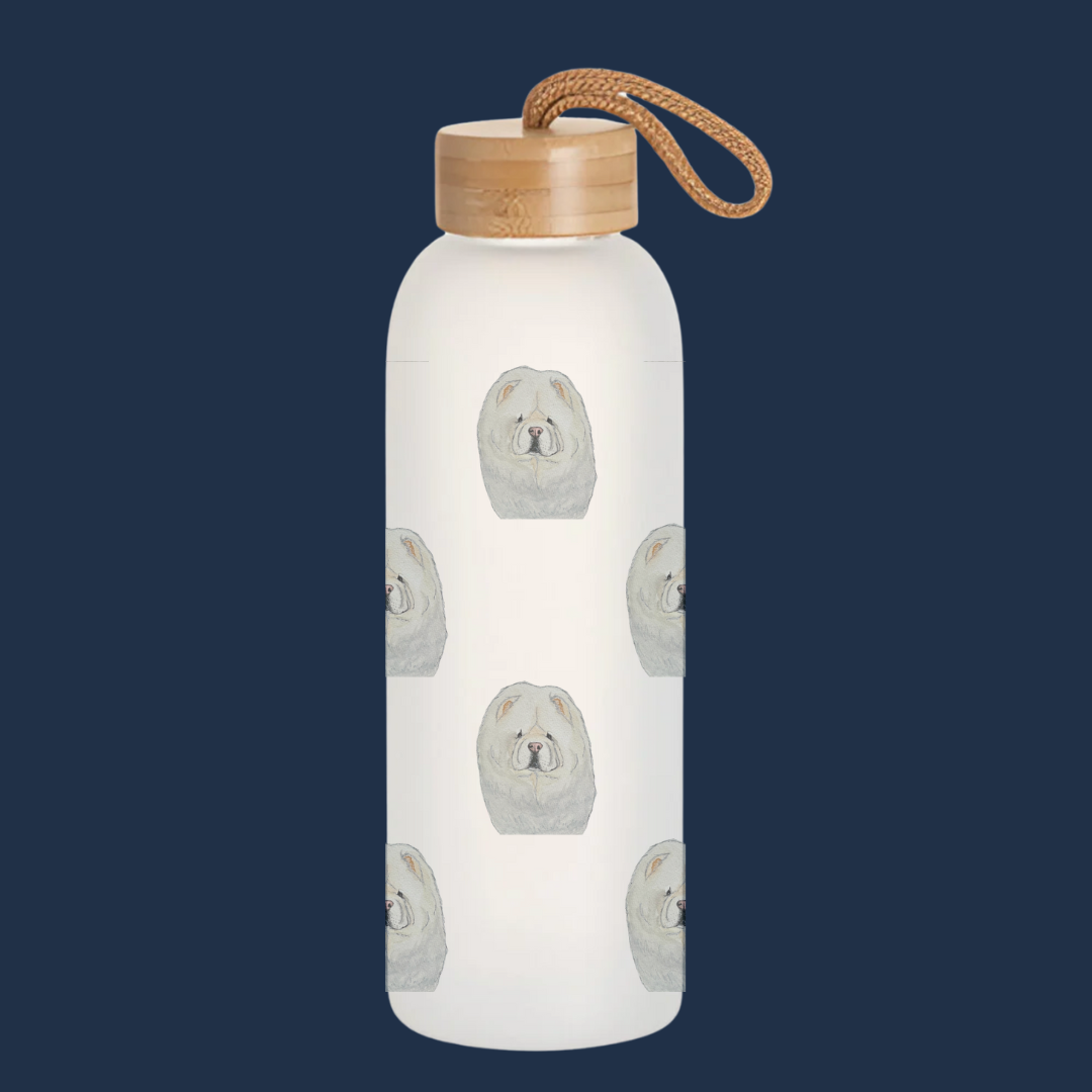 SALE Frosted Glass Water Bottle