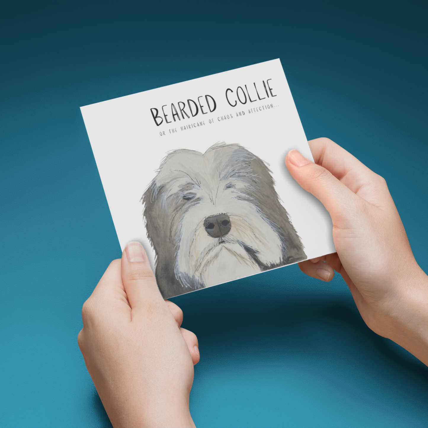 Hairy Wishes & Tailspins: Bearded Collie Greeting Card