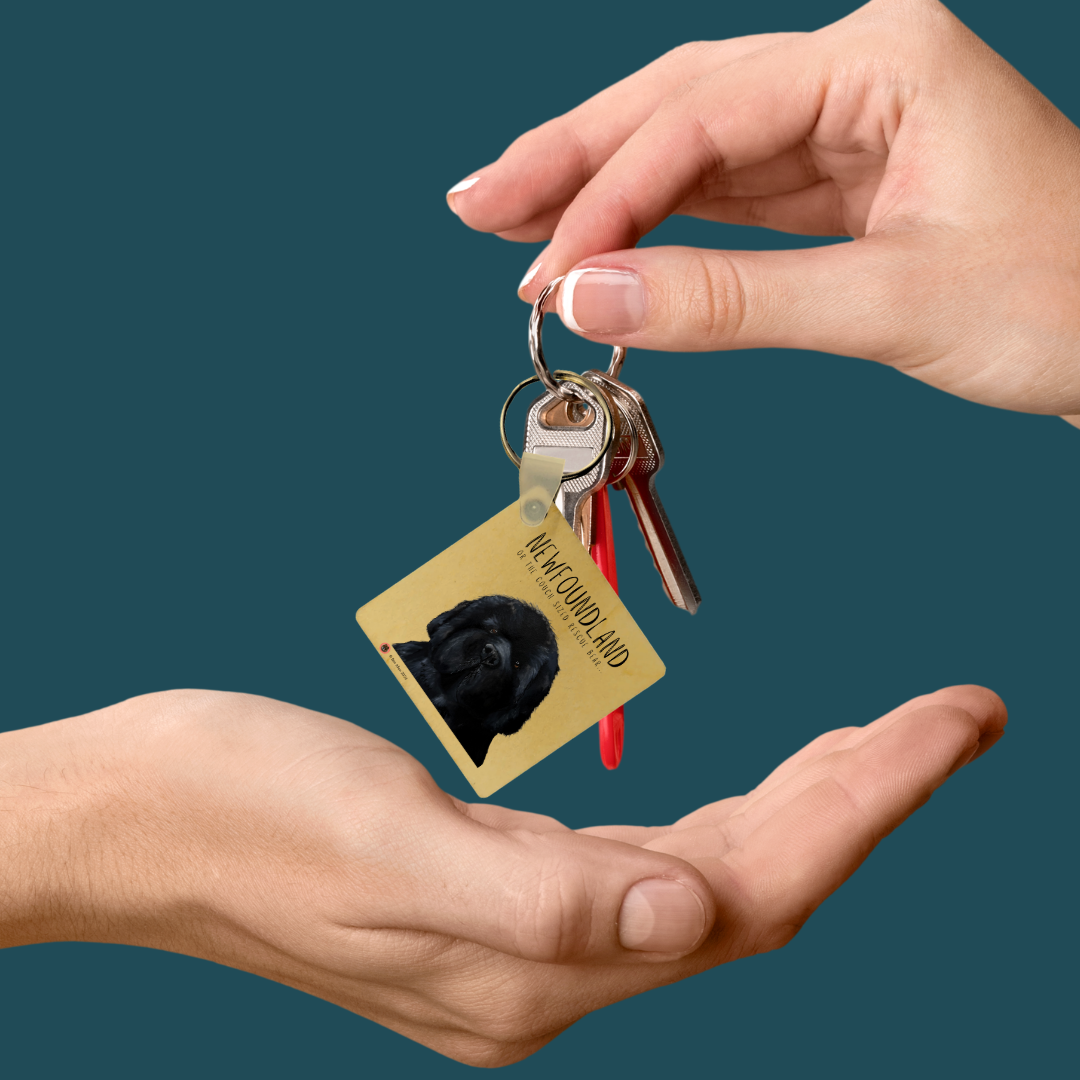 Handmade Newfoundland Key Ring – Couch-Sized Rescue Bear Charm for Dog Lovers