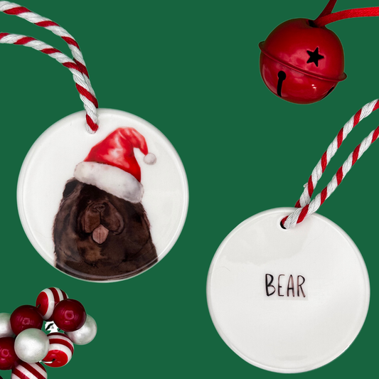 Christmas Dog Ceramic Hanging Ornament – Made Just for You