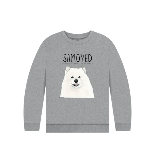 Athletic Grey Printed Kids Jumper