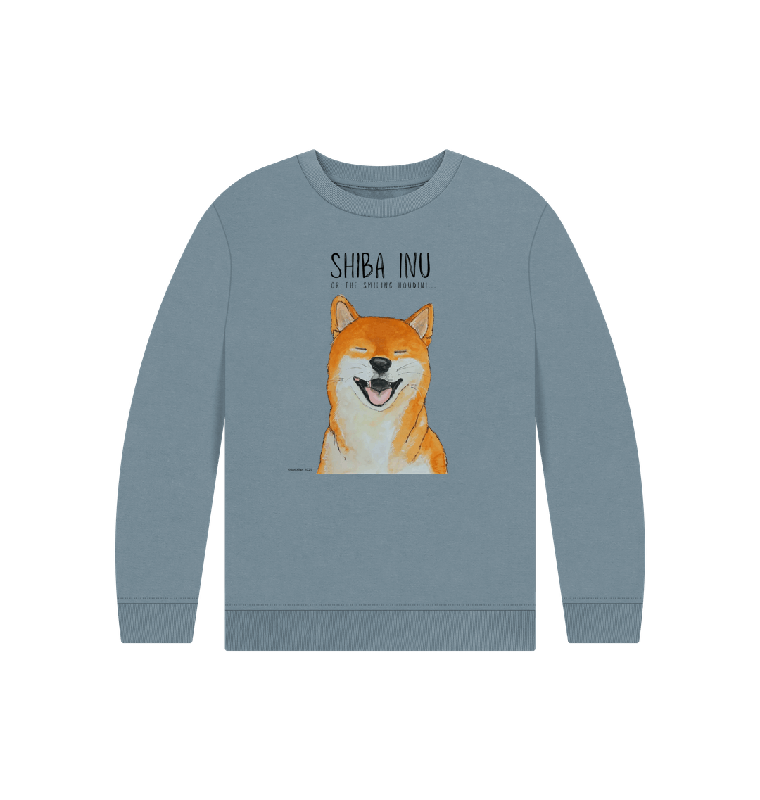 Stone Blue Printed Kids Jumper