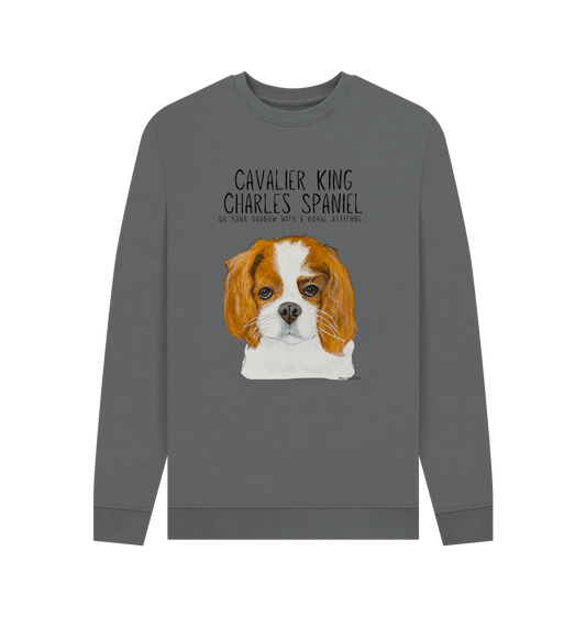Slate Grey Printed Sweater