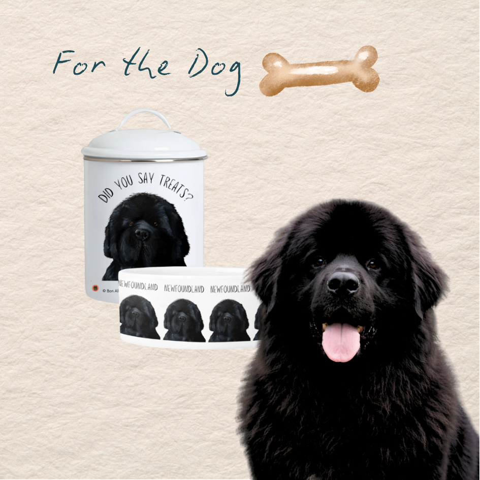 Five has always been here: For the Dog
