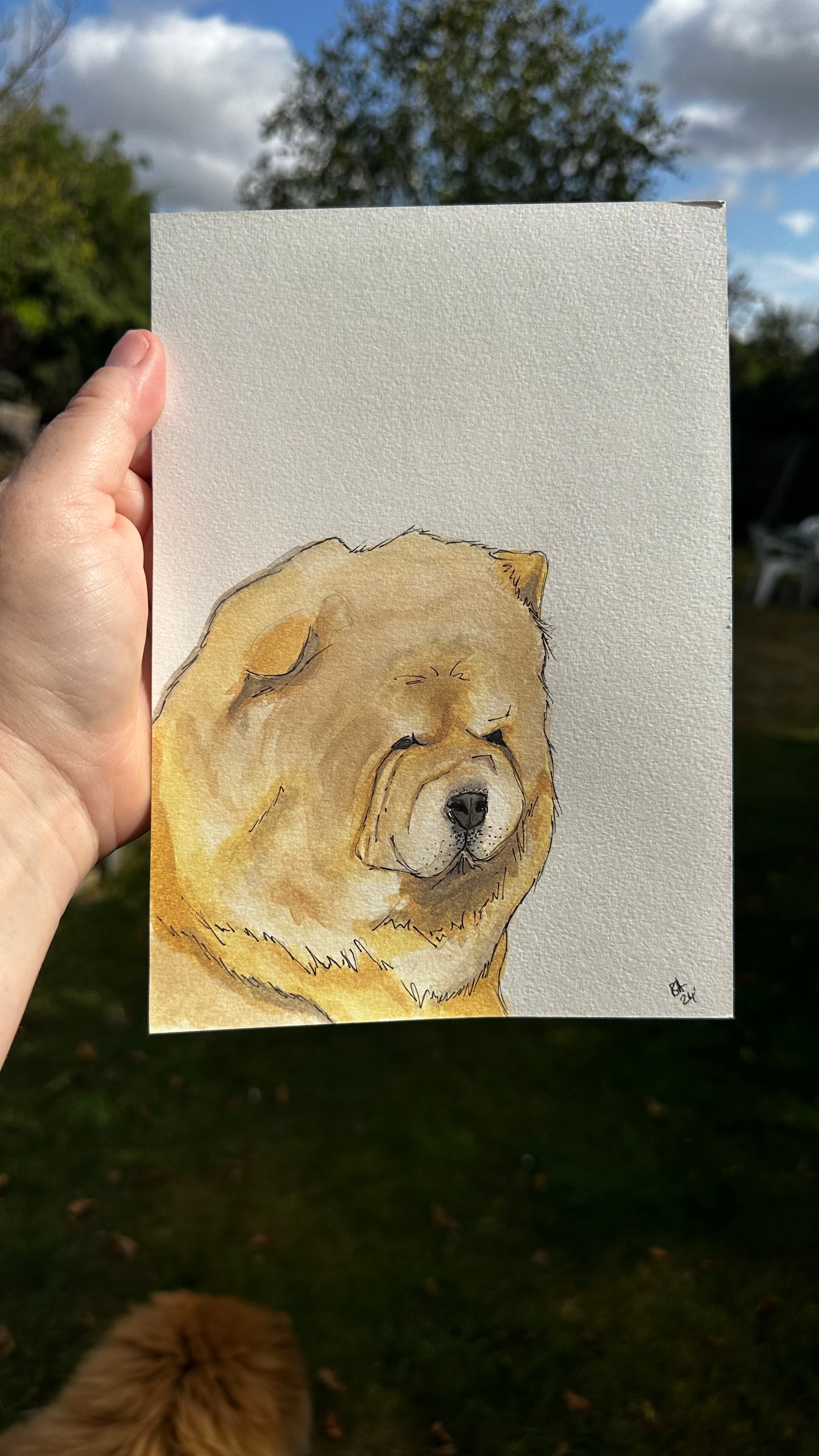 Commissioned Dog Portrait in Watercolour