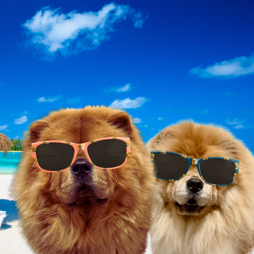 Bon Dog Coral Red Chow Sunglasses