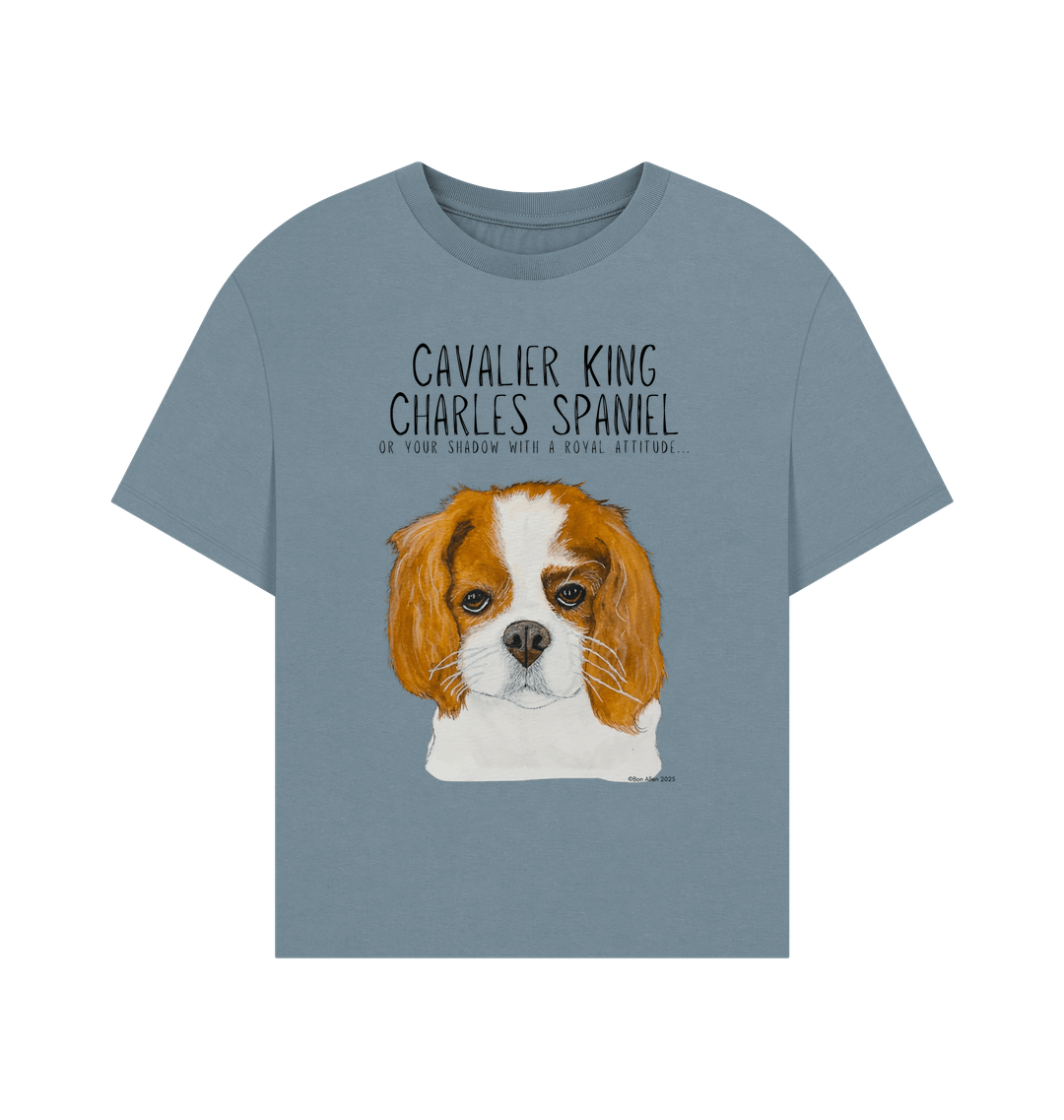 Stone Blue Printed T-shirt