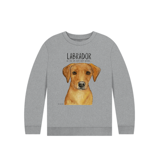 Athletic Grey Printed Kids Jumper