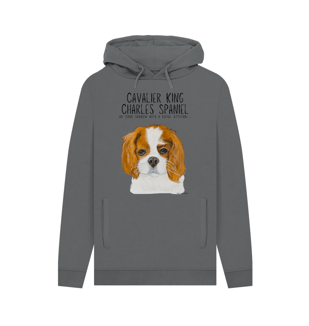 Slate Grey Printed Hoody