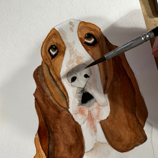 Commissioned Dog Portrait in Watercolour