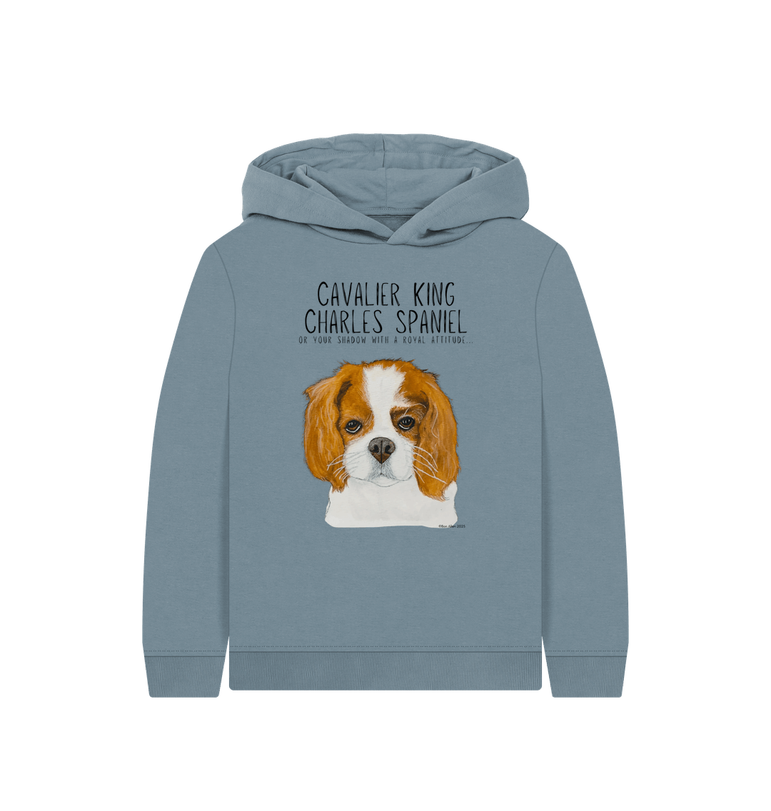 Stone Blue Printed Kids Hoodie