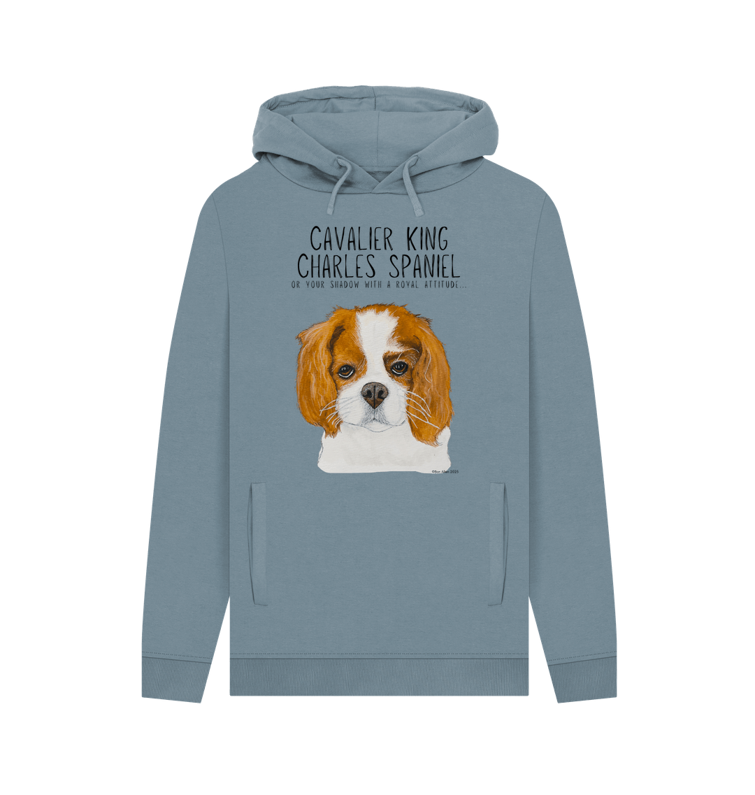 Stone Blue Printed Hoody