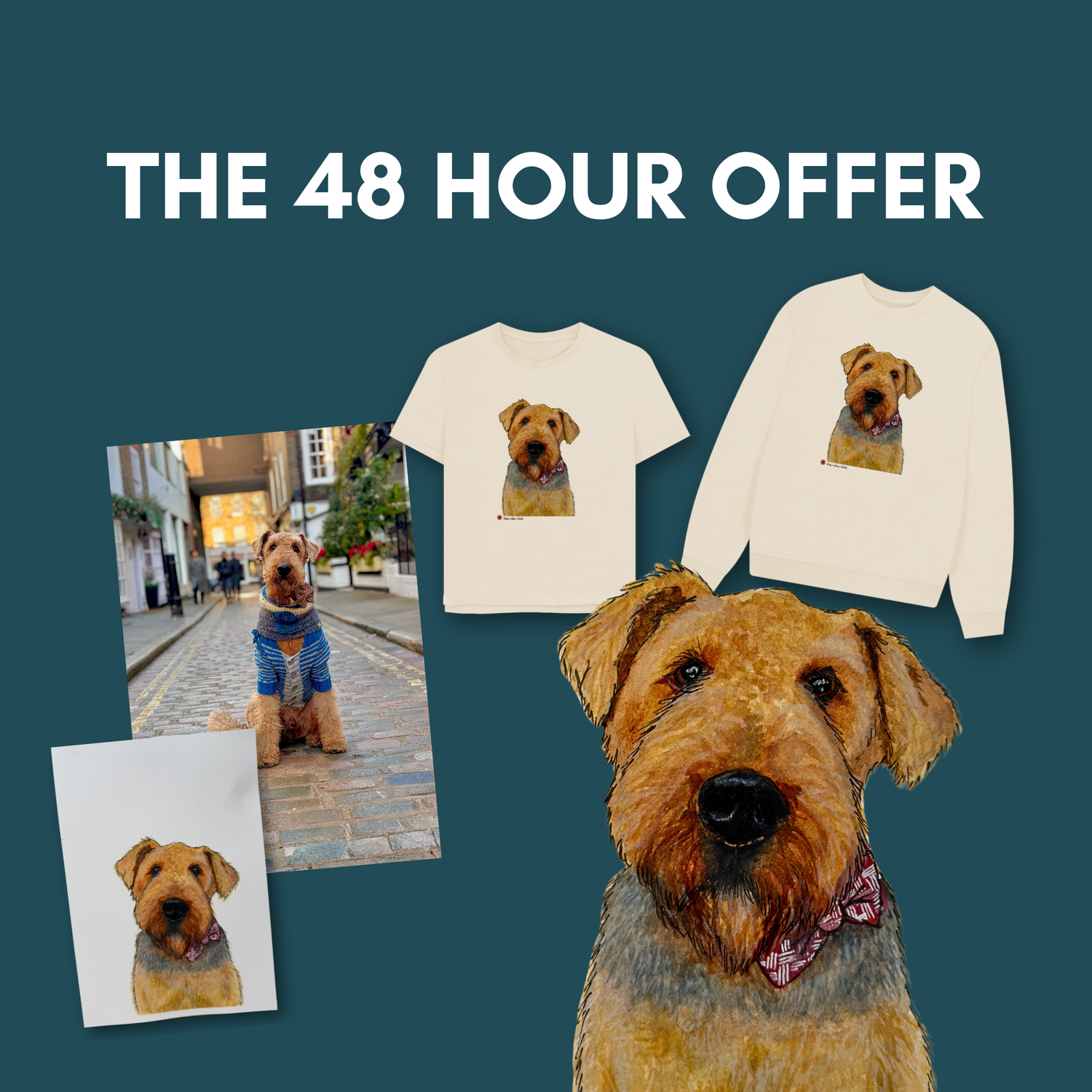 The 48 Hour Exclusive