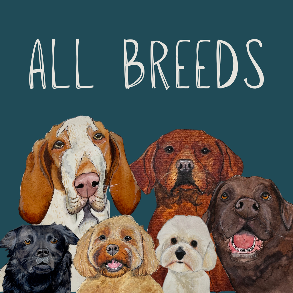 All Breeds