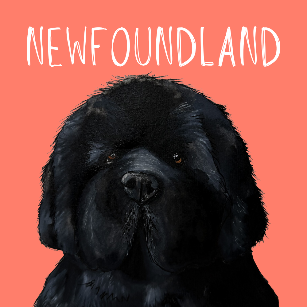 Newfoundland