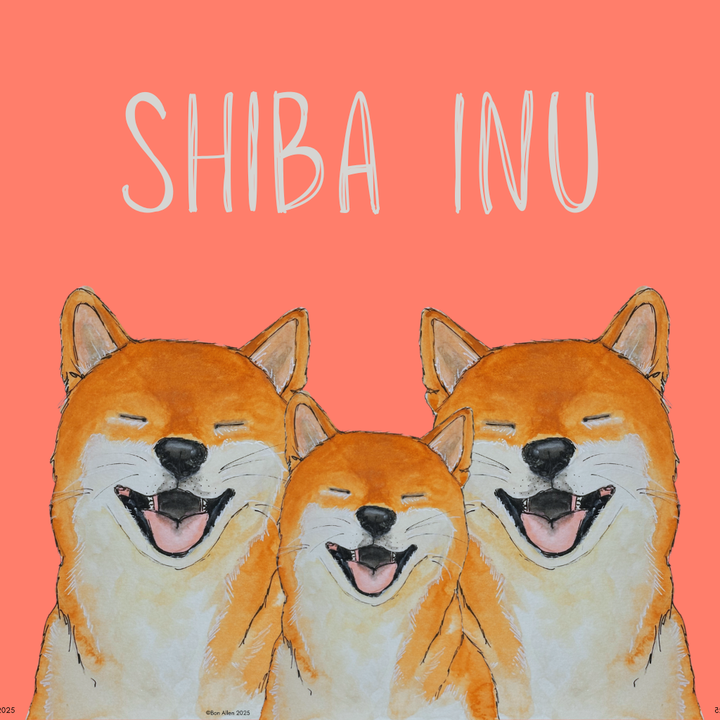 Shiba Inu