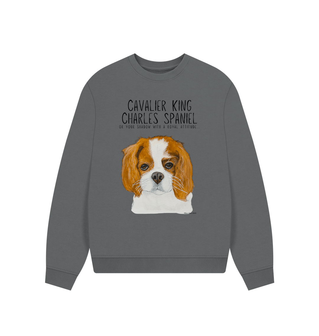 Slate Grey Printed Sweater