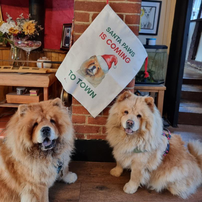 Santa Paws is coming to Town Santa Sack