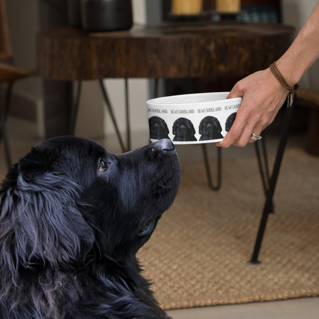 Handmade Newfoundland Dog Bowl – Couch-Sized Rescue Bear Feeding Dish