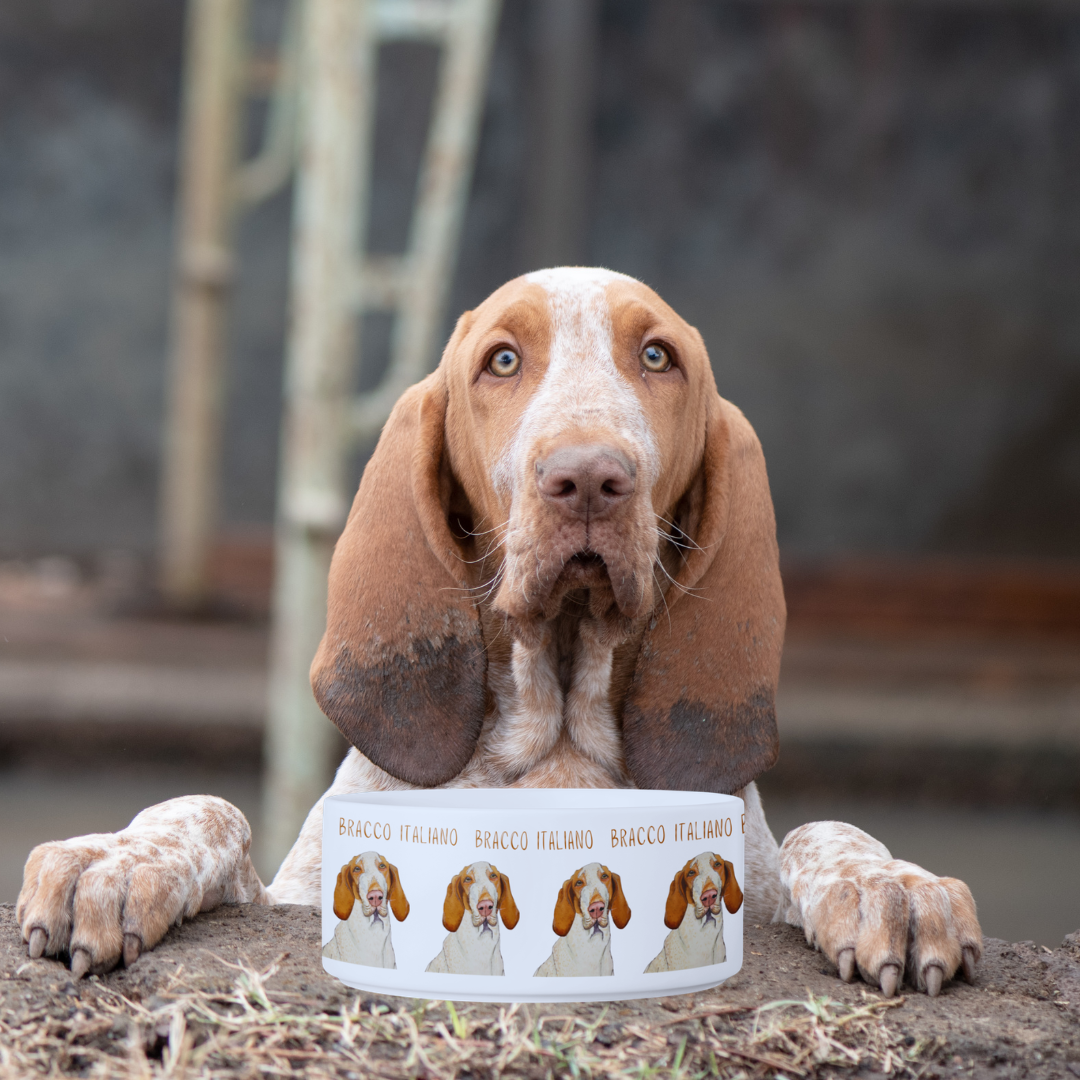 Bracco Italiano Ceramic Dog Bowl – Majestic Face with Criminal Energy Funny Pet Gift