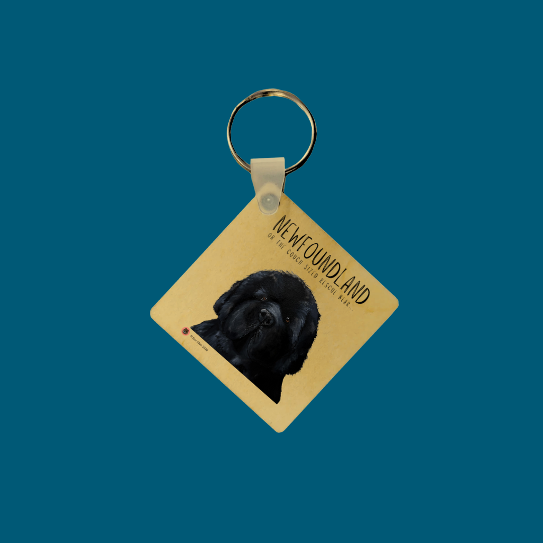Handmade Newfoundland Key Ring – Couch-Sized Rescue Bear Charm for Dog Lovers