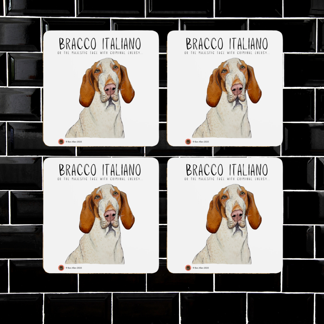 The “Majestic Face, Criminal Energy” Bracco Italiano Coaster Set