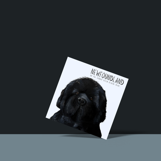 Couch-Sized Rescue Bear Greeting Card – Hilarious Newfoundland Humor Card