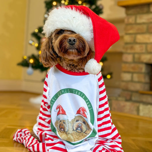 Here Comes Santa Paws Christmas Family Pyjamas