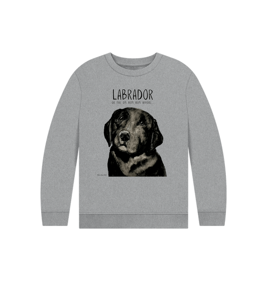 Athletic Grey Printed Kids Jumper