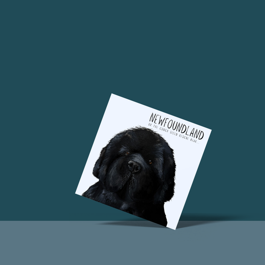 Couch-Sized Rescue Bear Greeting Card – Hilarious Newfoundland Humor Card
