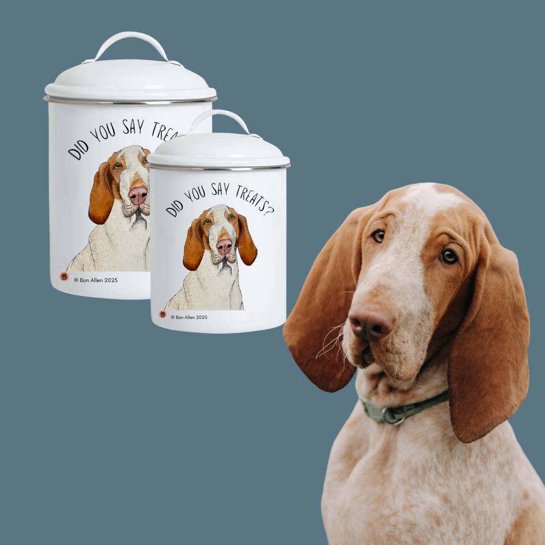 Bracco Italiano Enamel Treat Jar – Majestic Face with Criminal Energy Funny Dog Gift