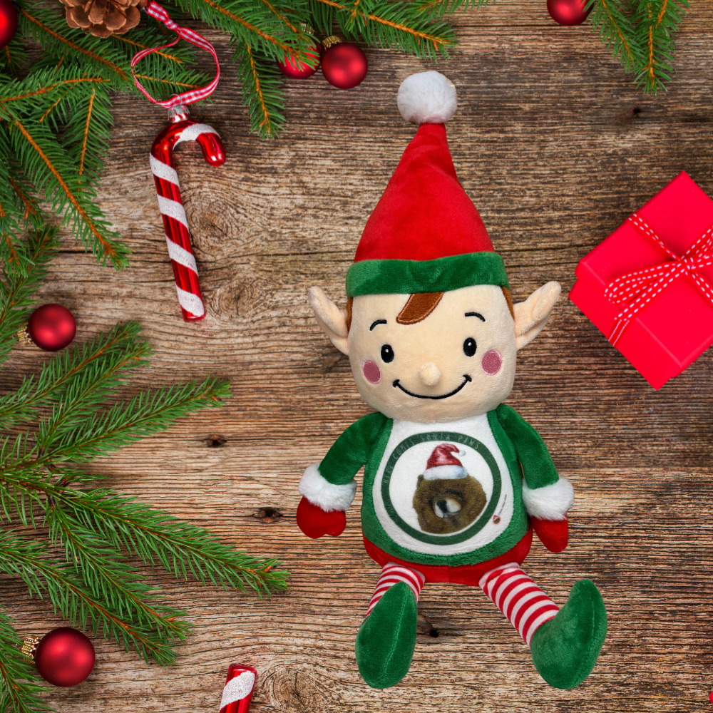 Personalised Christmas Elf