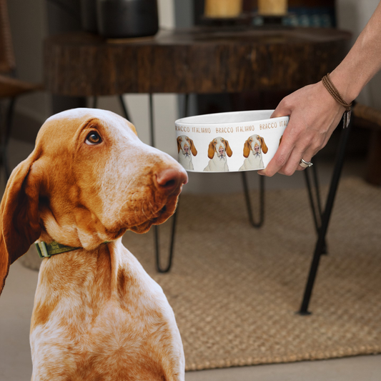Bracco Italiano Ceramic Dog Bowl – Majestic Face with Criminal Energy Funny Pet Gift