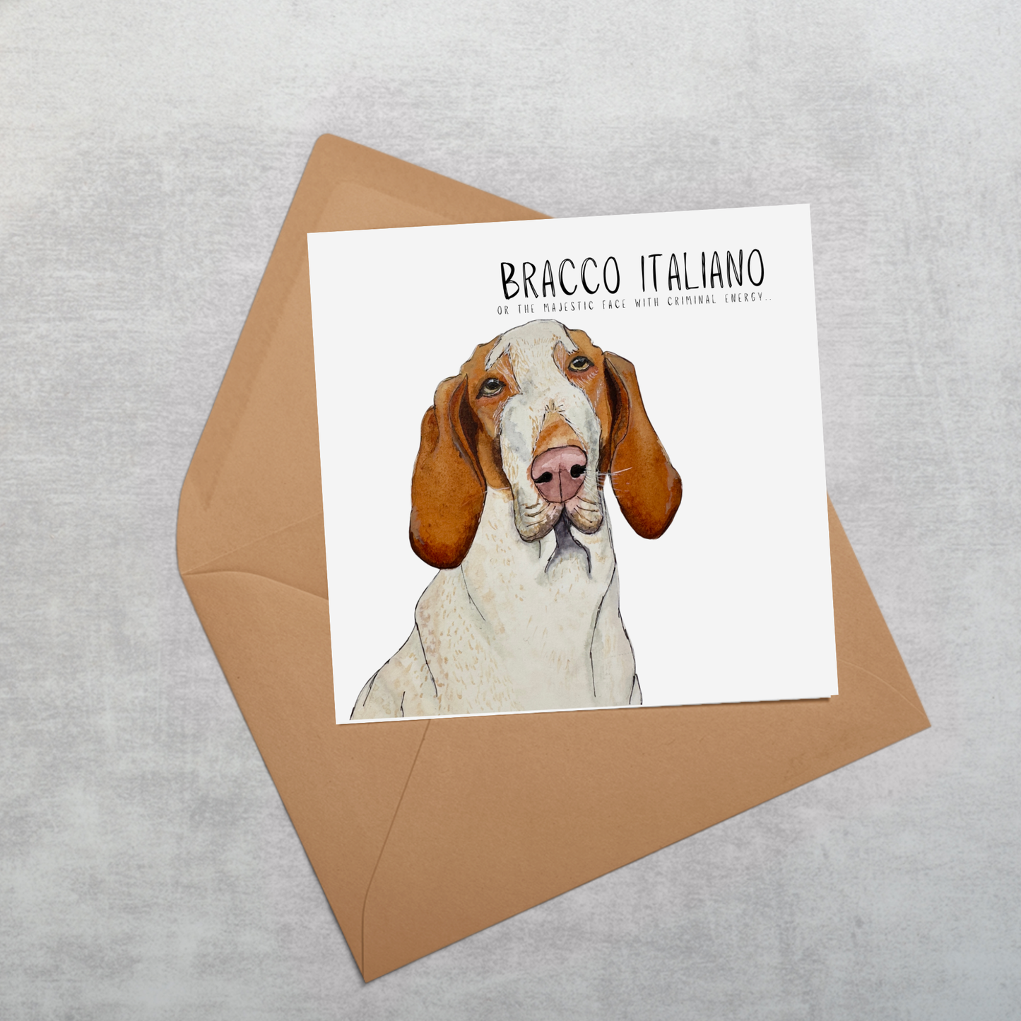 Bracco Italiano Greeting Card – Majestic Face, Absolutely Up To Something