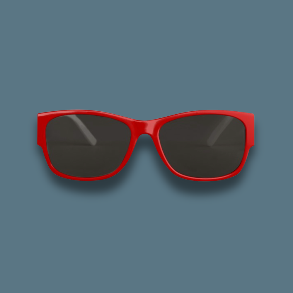 YOUR DOG on sunglasses
