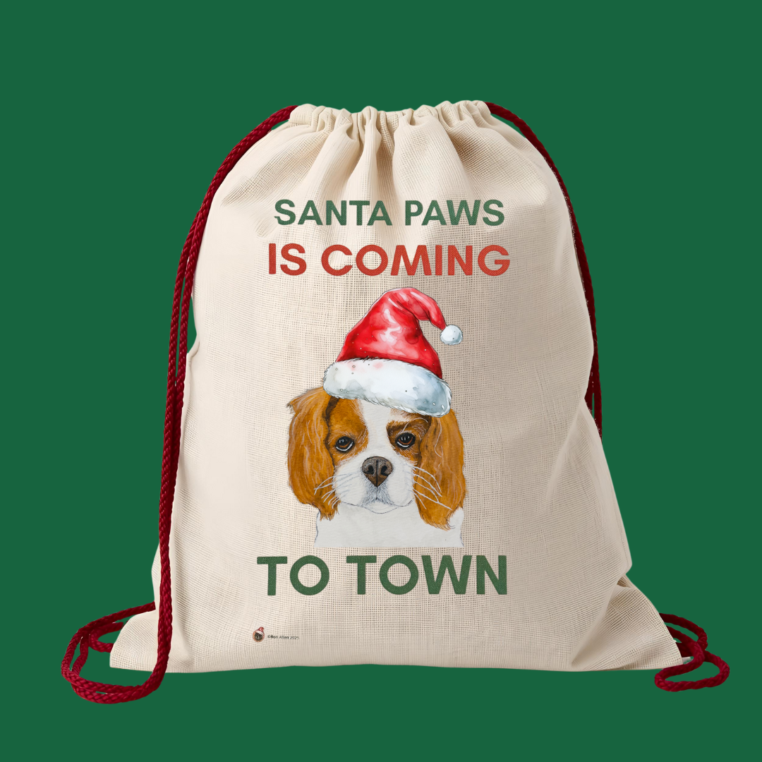 Santa Paws is coming to Town Santa Sack