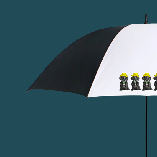 Rain or Shine, Your Pet’s Got You Covered!