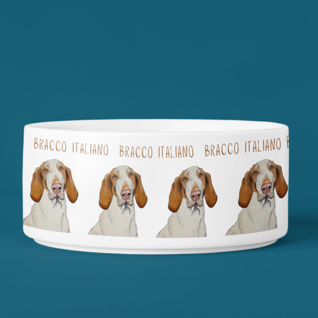 Bracco Italiano Ceramic Dog Bowl – Majestic Face with Criminal Energy Funny Pet Gift